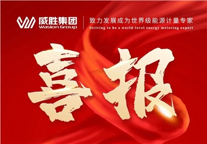 排名第一！威勝集團(tuán)2024年中標(biāo)國(guó)網(wǎng)總部集中招標(biāo)采購(gòu)項(xiàng)目總金額達(dá)5.97億元！