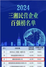 喜訊｜威勝控股上榜2024三湘民營企業(yè)百強榜單，排名第37位
